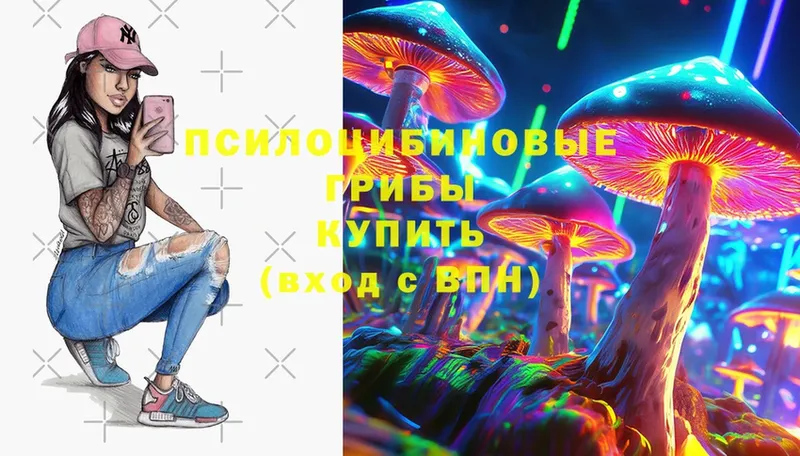 Псилоцибиновые грибы Psilocybe  Ряжск 